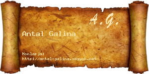Antal Galina névjegykártya